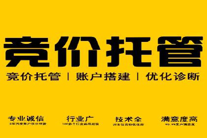 sem运营公司：效果为王的策略